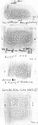 Thumbnail of Group of rubbings of AESICO die 1