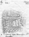 Thumbnail of Rubbing of AESTIC[(us) die 1 from Mancetter 26K