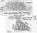 Thumbnail of Group of rubbings of ALBANVS die 1