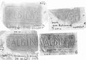 Thumbnail of Group of rubbings of ALBINVS 1 die 4