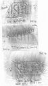 Thumbnail of Group of rubbings of ATEPACIVS 2 die 4