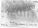 Thumbnail of Rubbing of ATEPACIVS 2 die 4 from Winterton 14K