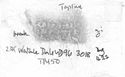 Thumbnail of Rubbing of  AVSTINVS die 11 from Walton-le-Dale 23K