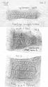 Thumbnail of Group of rubbings of AVSTINVS die 7