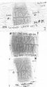 Thumbnail of Group of rubbings of AVSTINVS die 9