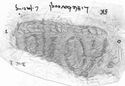 Thumbnail of Rubbing of BISO die 1 from Littleborough 5K