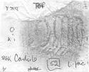Thumbnail of Rubbing of BISO die 1 from Carlisle 86K