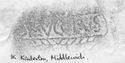 Thumbnail of Rubbing of BRVCCIVS die 1 from Kinderton, Middlewich 1K
