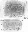 Thumbnail of Group of rubbings of CANDIDVS 2 die 4