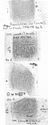 Thumbnail of Group of rubbings of CARITA die 2