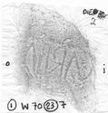 Thumbnail of Rubbing of CARITA die 2 from Mancetter_1_W70_23_7