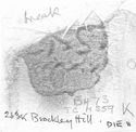 Thumbnail of Rubbing of CASTVS die 11 from Brockley Hill 263K