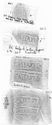 Thumbnail of Group of rubbings of CATTANVS die 1