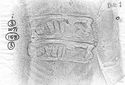 Thumbnail of Rubbing of CATTANVS die 1 from Mancetter_3_W71_18_8_3