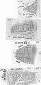 Thumbnail of Group of rubbings of CLEME(n)S die 1