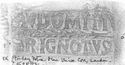 Thumbnail of CN DOMITIV ARIGNOTVS  Die1 London Petrie Museum University College