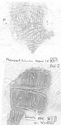 Thumbnail of Group of rubbings of CVPITVS die 2