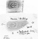 Thumbnail of C.FE Die 1 Group