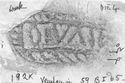 Thumbnail of Rubbing of DEVALVS  die 4 from Verulamium 192K