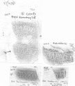 Thumbnail of Group of rubbings of DEVALVS die 5