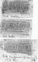 Thumbnail of Group of rubbings of DOBALLVS die 1