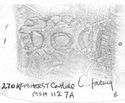 Thumbnail of Rubbing of  DOCILIS 3 die 2 from Carlisle Fisher Street 270K