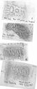 Thumbnail of Group of rubbings of DOCILIS 3 die 3