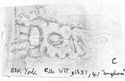 Thumbnail of Rubbing of  DOCILIS 3 die 3 from York 51K