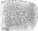 Thumbnail of Rubbing of  DOCILIS 3 die 4 from Carlisle 193K l.facing