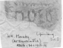 Thumbnail of Rubbing of  DOCILIS 3 die 9 from Moresby 16K