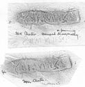 Thumbnail of Rubbing of  GEMINVS die 1 from Chester 34K