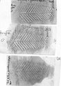 Thumbnail of Rubbing of  HERRINGBONE No. 27 from Wilderspool 10K