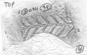 Thumbnail of Rubbing of HERRINGBONE No. 44 die  from Hartshill_134_H60_5_1