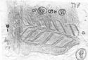 Thumbnail of Rubbing of HERRINGBONE No. 44 die  from Hartshill_33_H60_5B_10