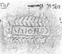Thumbnail of INC103 Die1 Bavai 296K