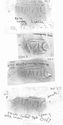 Thumbnail of Group of rubbings of INC17 die 1
