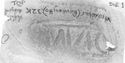 Thumbnail of Rubbing of INC17 die 1 from Wroxeter, Rowley House 32K