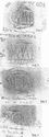 Thumbnail of Group of rubbings of INC31 die 1