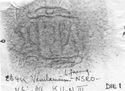 Thumbnail of Rubbing of INC31 die 1 from Verulamium 234K