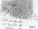 Thumbnail of Rubbing of INC31 die 1 from Verulamium 236K