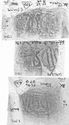 Thumbnail of Group of rubbings of INC50 die 1