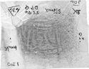Thumbnail of Rubbing of INC50 die 1 from Stonea 2K