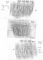 Thumbnail of Group of rubbings of INC55 die 1