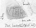 Thumbnail of Rubbing of INC72 die 1 from Leicester 72K