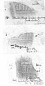 Thumbnail of Group of rubbings of INC93 die 1