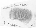 Thumbnail of Rubbing of INC99 die 1 from Newton on Trent