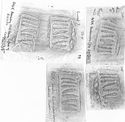 Thumbnail of Group of rubbings of IVNIVS 1 die 1
