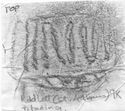 Thumbnail of Rubbing of IVNIVS 1 die 1 from Radlett 9K