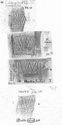 Thumbnail of Group of rubbings of IVNIVS 2 die 10