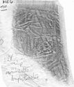 Thumbnail of Rubbing of IVNIVS 2 die 6 from Chester Amphitheatre 59K